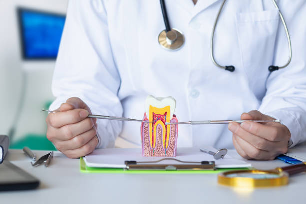 Best Chipped Tooth Repair Near Me  in Waterloo, WI